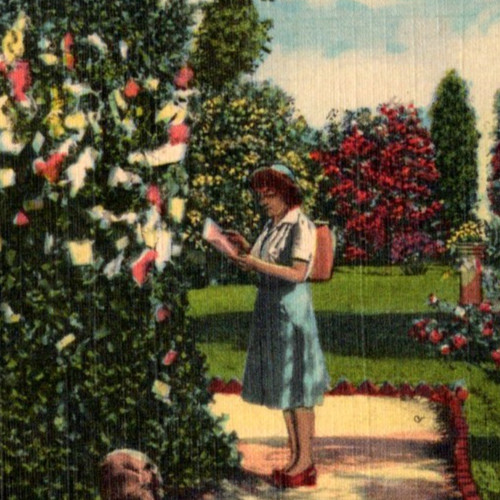 Vtg postcard scotch post - vtg,