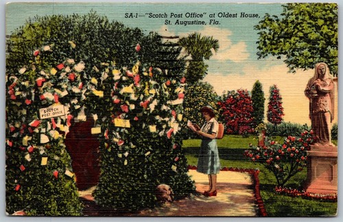 Vtg augustine florida fl - vtg,