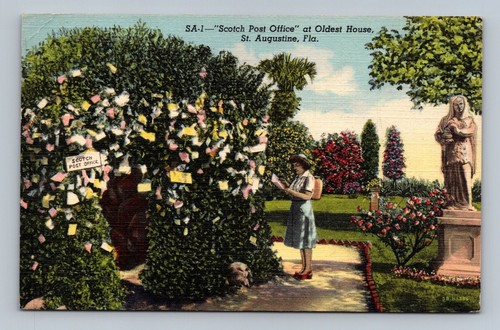 Vintage linen postcard scotch - postcard,