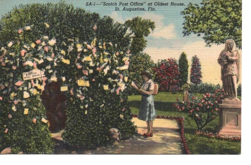 Postcard florida augustine - postcard,