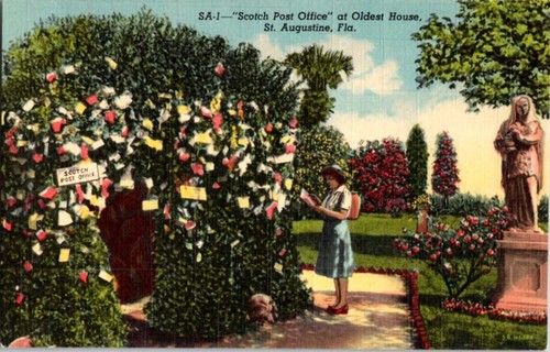 Augustine postcard - st, fl
