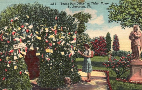 Postcard augustine - fl,